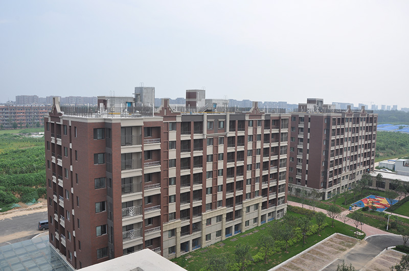 保利海上五月花玫瑰園項目